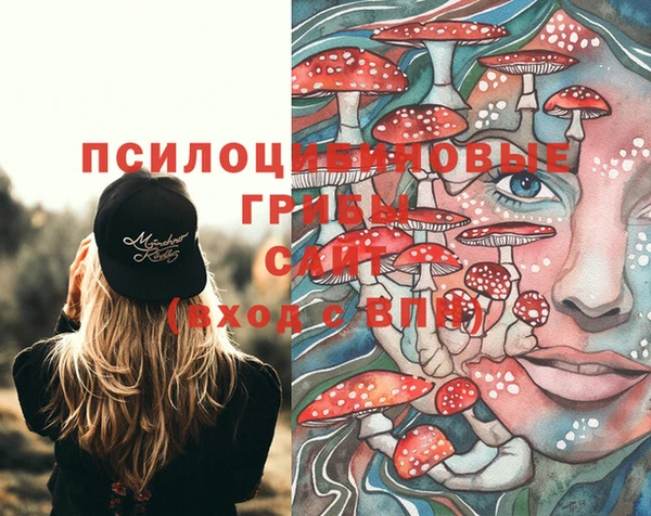 spice Армянск