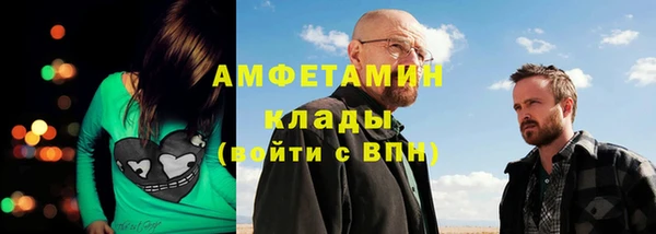 ECSTASY Алзамай