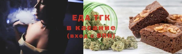 ECSTASY Алзамай