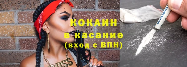 ECSTASY Алзамай