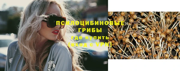 ECSTASY Алзамай